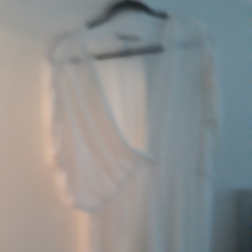 White see through top